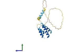AlphaFold protein structure predicition of Human Recombinant CT45A8 Protein, UniprotID P0DMV1 (CT45A8 (AA 1-189) protein (His tag))
