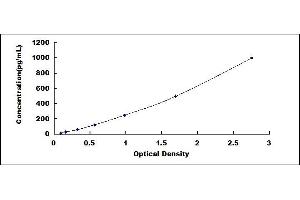 Typical standard curve (VEGFA ELISA Kit)