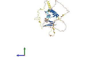 Protein Structure (PS) image for E2F Transcription Factor 1 (E2F1) (AA 1-437) protein (His tag) (ABIN7553735)