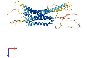 Dopamine Receptor d1 Protein (AA 1-446) (His tag)
