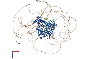 DNA Cross-Link Repair 1A (DCLRE1A) (AA 1-1040) protein (His tag)