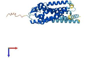 P2RY6 Protein (AA 1-328) (His tag)
