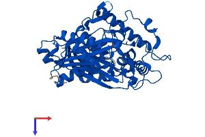 ACAT2 Protein (AA 1-397) (His tag)