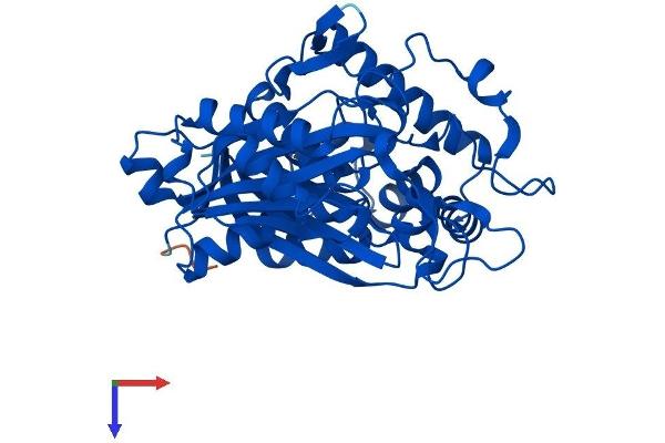 ACAT2 Protein (AA 1-397) (His tag)