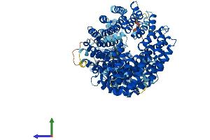 Protein Structure (PS) image for Importin 4 (IPO4) (AA 1-1082) protein (His tag) (ABIN7564770)