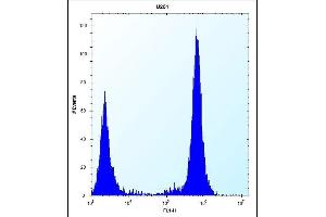 TLR4 Antibody (Center) (ABIN653638 and ABIN2842986) flow cytometric analysis of  cells (right histogram) compared to a negative control cell (left histogram). (TLR4 Antikörper  (AA 669-698))