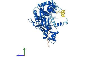 Protein Structure (PS) image for RuvB-Like 1 (E. Coli) (RUVBL1) (AA 1-456) protein (His tag) (ABIN7563487)
