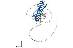 Protein Structure (PS) image for Heterogeneous Nuclear Ribonucleoprotein A1 (HNRNPA1) (AA 1-320) protein (His tag) (ABIN7563337)