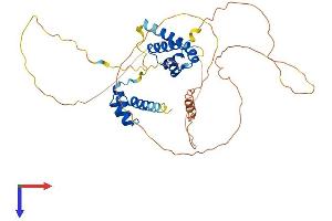 POU4F2 Protein (AA 1-409) (His tag)