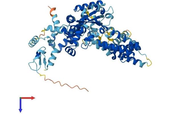 EPM2AIP1 Protein (AA 1-607) (His tag)