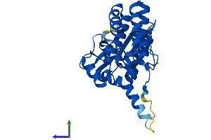 Protein Structure (PS) image for Fructosamine 3 Kinase (FN3K) (AA 1-309) protein (His tag) (ABIN7547729)
