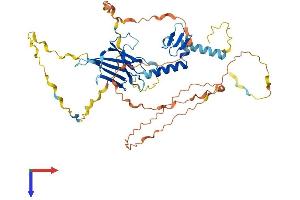 SF3A2 Protein (AA 1-464) (His tag)