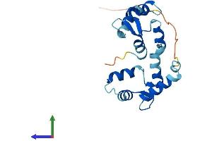 Protein Structure (PS) image for Myosin Light Chain 7, Regulatory (MYL7) (AA 1-175) protein (His tag) (ABIN7549398)