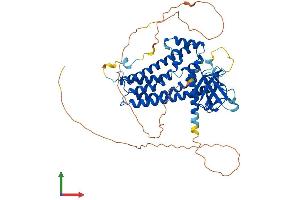 AlphaFold protein structure predicition of Mouse Recombinant Arhgef3 Protein, UniprotID Q91X46 (ARHGEF3 Protein (AA 1-524) (His tag))