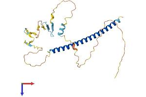 AFT1 Protein (AA 1-269) (His tag)