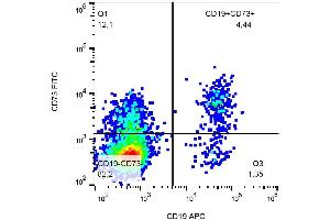 Flow cytometry analysis of Surface staining of human peripheral blood using CD73 Antibody (FITC). (CD73 Antikörper  (FITC))