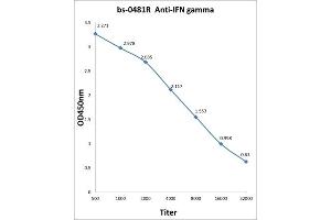 Antigen: 0. (Interferon gamma Antikörper  (AA 81-166))