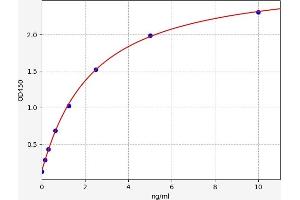 LPAR3 ELISA Kit