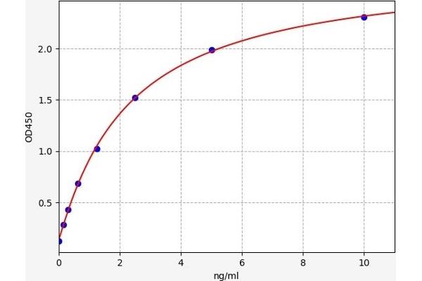 LPAR3 ELISA Kit