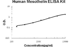 Human Mesothelin PicoKine ELISA Kit standard curve