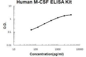 Human M-CSF PicoKine ELISA Kit standard curve