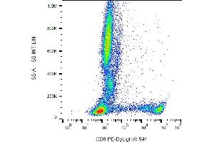 Flow cytometry analysis (surface staining) of human peripheral blood using anti-human CD8 (clone MEM-31) PE-Dylight® 594. (CD8 Antikörper  (PE-DyLight 594))