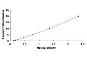 Glutamate Receptor, Ionotropic, N-Methyl D-Aspartate 2D (GRIN2D) ELISA Kit