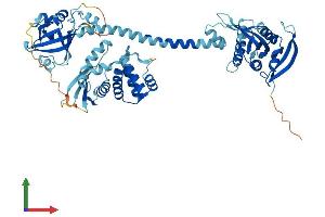 Protein Structure (PS) image for Guanylate Cyclase 1, Soluble, beta 3 (GUCY1B3) (AA 1-619) protein (His tag) (ABIN7547957)