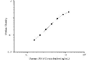 Heme Oxygenase (Decycling) 1 (HMOX1) ELISA Kit