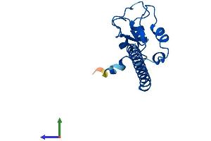 AlphaFold protein structure predicition of Mouse Recombinant Birc5 Protein, UniprotID O70201