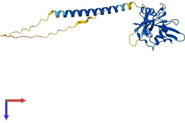 CLEC4A Protein (AA 1-238) (His tag)
