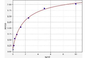 NMES1 ELISA Kit