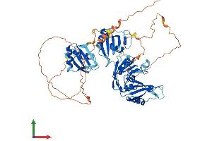 Protein Structure (PS) image for Heterogeneous Nuclear Ribonucleoprotein L-Like (HNRPLL) (AA 1-591) protein (His tag) (ABIN7560190)