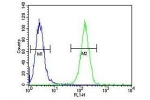 Flow Cytometry (FACS) image for anti-X-Ray Repair Complementing Defective Repair in Chinese Hamster Cells 6 (XRCC6) (AA 521-548) antibody (ABIN3029655)