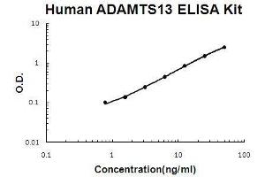 Human ADAMTS13 PicoKine ELISA Kit standard curve (ADAMTS13 ELISA Kit)