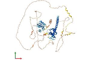 Protein Structure (PS) image for RALBP1 Associated Eps Domain Containing Protein 2 (REPS2) (AA 1-660) protein (His tag) (ABIN7551262)