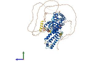 Protein Structure (PS) image for Regulatory Factor X 3 (RFX3) (AA 1-749) protein (His tag) (ABIN7563313)