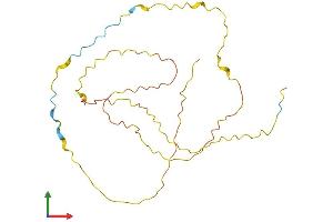 AlphaFold protein structure predicition of Human Recombinant DRICH1 Protein, UniprotID Q6PGQ1