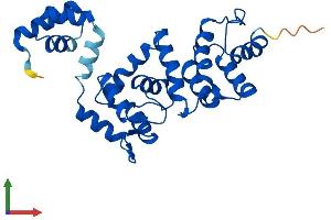 Protein Structure (PS) image for DCN1, Defective in Cullin Neddylation 1, Domain Containing 2 (DCUN1D2) (AA 1-259) protein (His tag) (ABIN7559045)