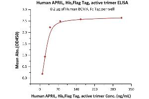 ELISA image for Tumor Necrosis Factor (Ligand) Superfamily, Member 13 (TNFSF13) (AA 111-250) (Active) protein (His tag,DYKDDDDK Tag) (ABIN7013494)