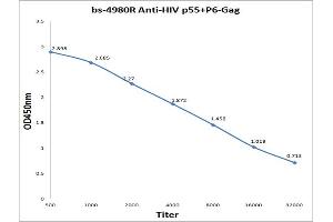 Antigen: 0. (Hiv P55+P6-Gag Antikörper)