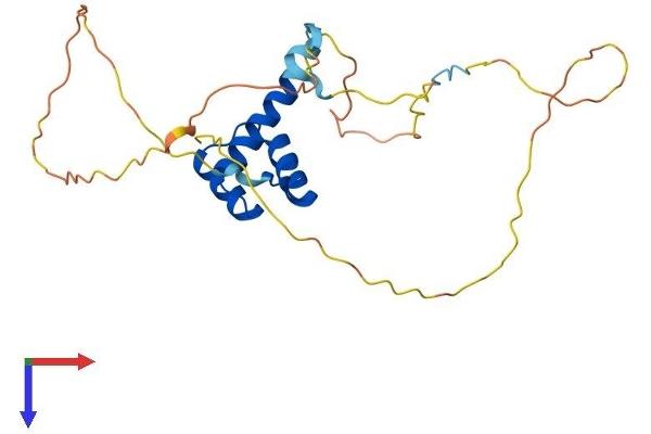NKX2-8 Protein (AA 1-235) (His tag)