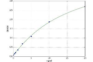 A typical standard curve