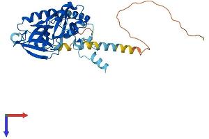 Protein Structure (PS) image for Snurportin 1 (SNUPN) (AA 1-360) protein (His tag) (ABIN7546228)