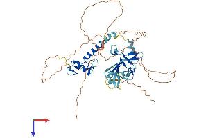 ZNHIT6 Protein (AA 1-460) (His tag)