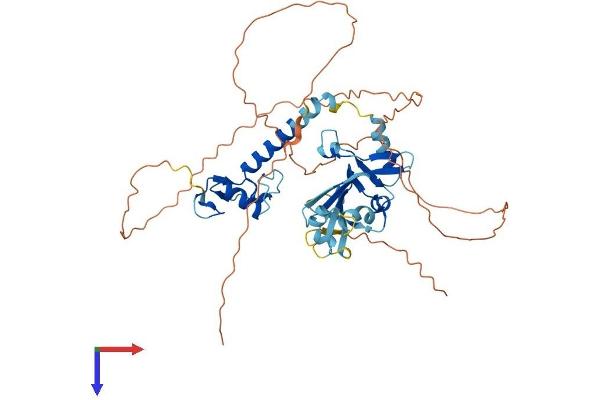 ZNHIT6 Protein (AA 1-460) (His tag)