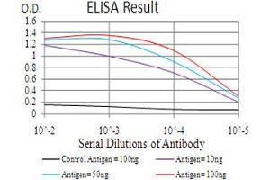 Fig. (GLI1 Antikörper  (AA 284-449))