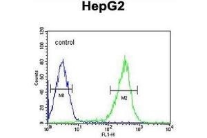PCBD1 Antibody (Center) flow cytometric analysis of HepG2 cells (right histogram) compared to a negative control cell (left histogram).