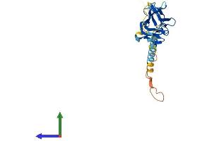 Protein Structure (PS) image for Tumor Necrosis Factor (Ligand) Superfamily, Member 12 (TNFSF12) (AA 1-249) protein (His tag) (ABIN7562440)