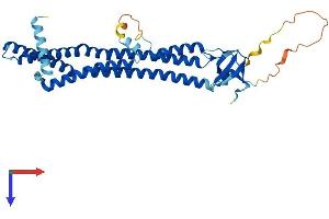 SH3G2 Protein (AA 1-352) (His tag)